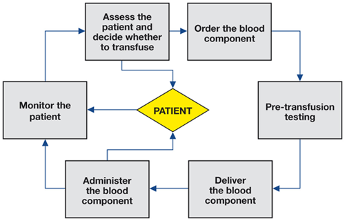 Blood Bank Procedure Flow Chart