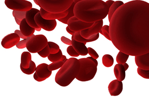 Red blood cells